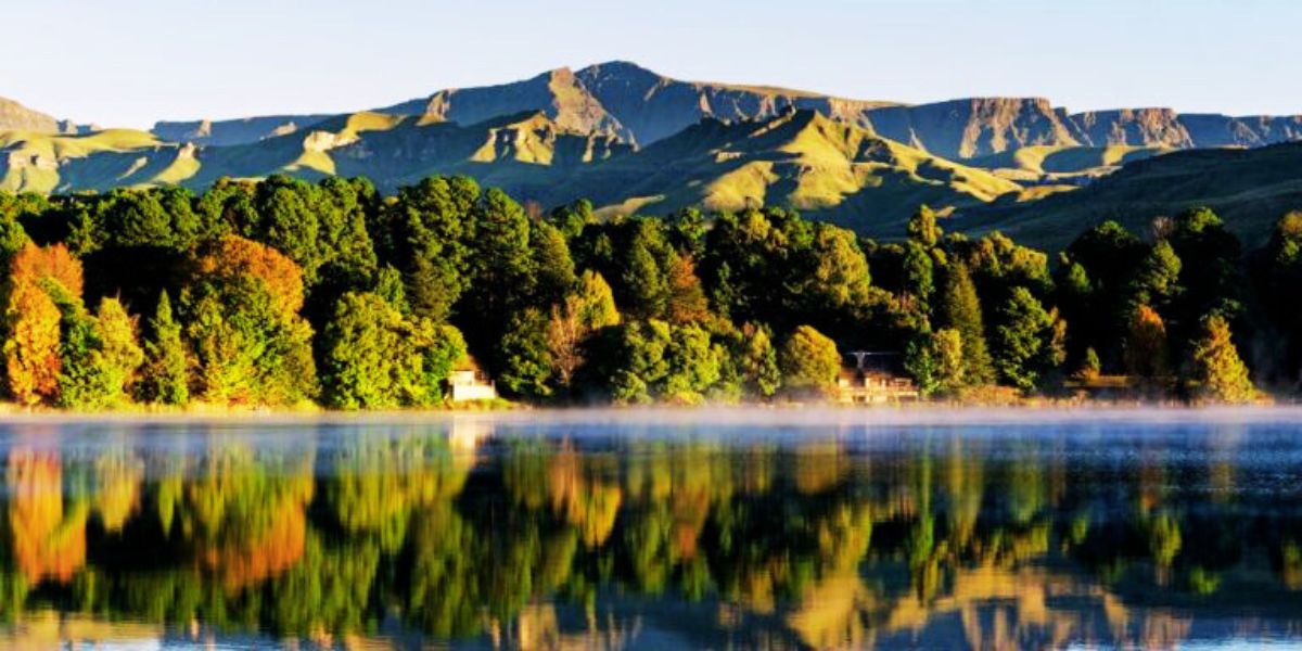 Flights to Central African Republic