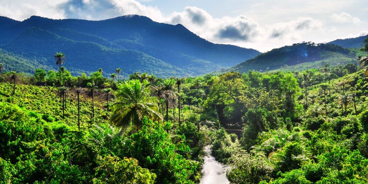 Flights to Sierra Leone