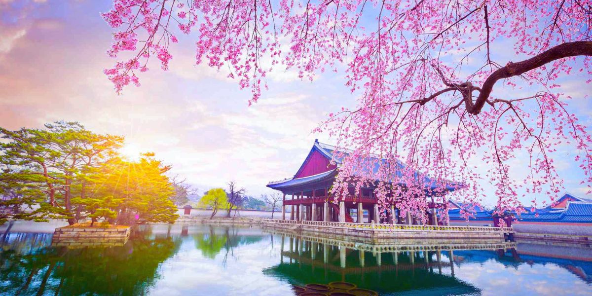Flights to South Korea