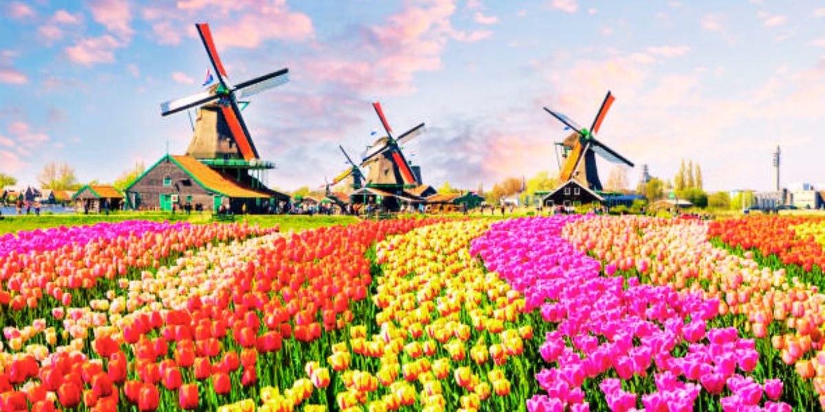 Flights to Netherlands