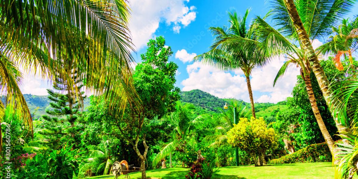 Flights to Dominican Republic