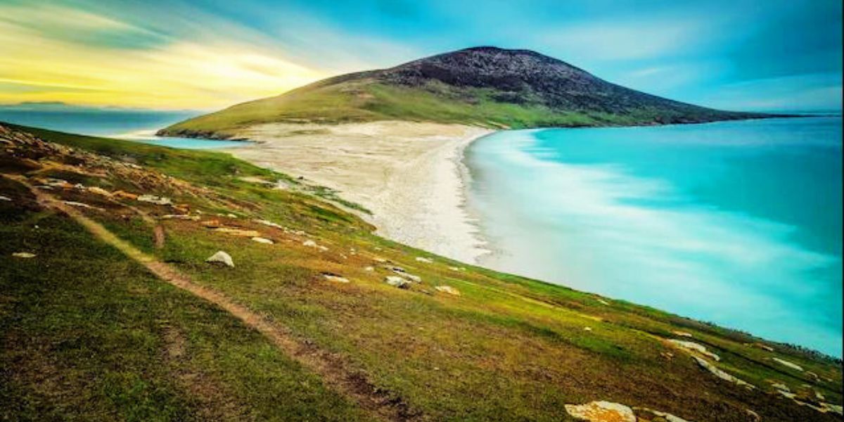Flights to Falkland Islands