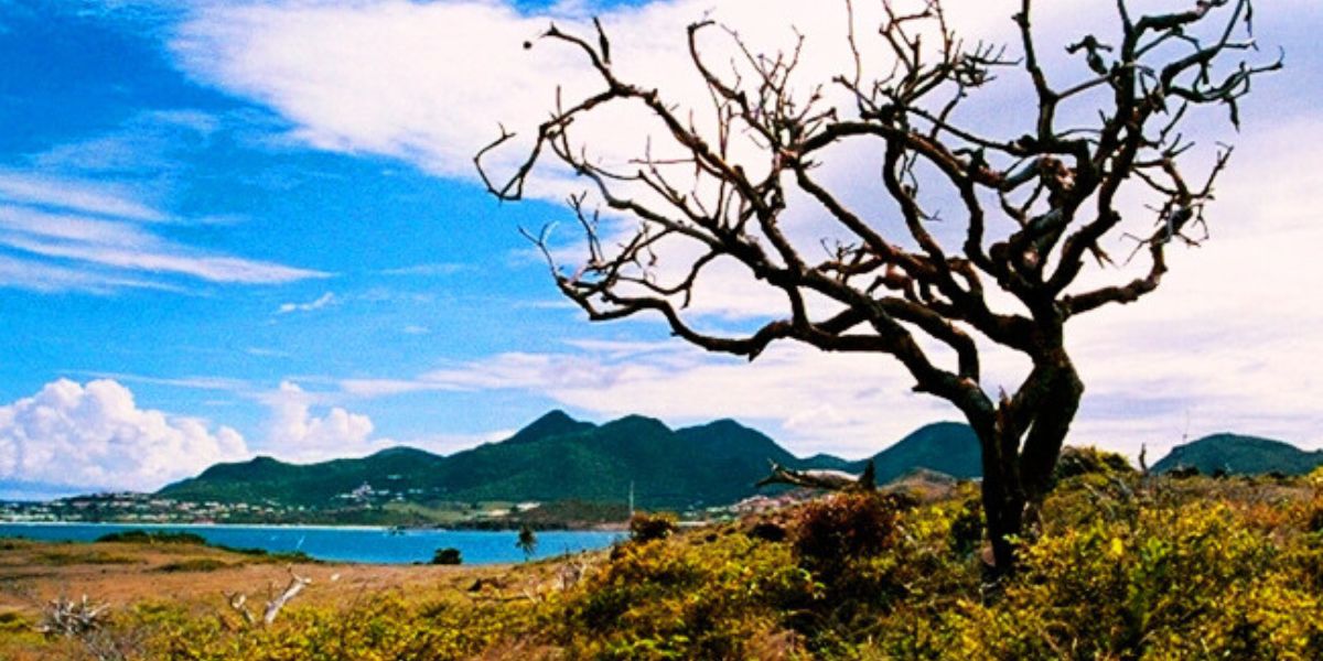 Flights to Saint Martin