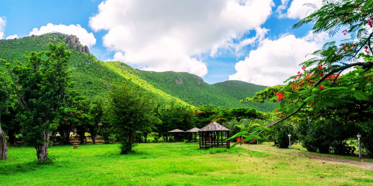 Flights to Sint Maarten