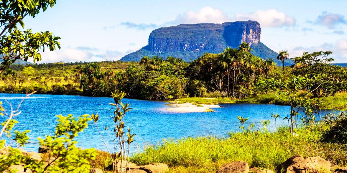 Flights to Venezuela